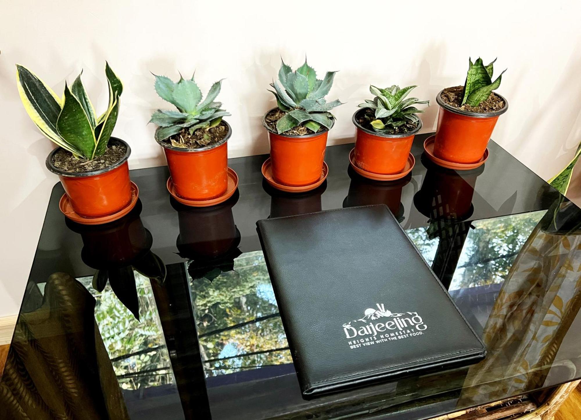 Darjeeling Heights - A Boutique Mountain View Homestay Pokój zdjęcie